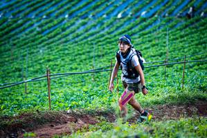 BIB: 
                            <button type="button" onclick="openModal(19160026)" class="btn btn-primary btn-sm float-right btn-popup" data-toggle="modal" data-target=".modal-high-quality">
                        <i class="fas fa-shopping-cart"></i> Add to Cart
                    </button>
                                            <button type="button" onclick="isThisMe(19160026, true)" class="btn btn-success btn-sm float-right btn-popup btn-isme hidden" data-toggle="tooltip" data-placement="bottom" title="นี่คือรูปของคุณใช่ไหม คลิกที่นี่เพื่อเอาเข้าอัลบั้ม">
                        <i class="fas fa-plus"></i> Add to album
                    </button>
                    <button type="button" onclick="isThisMe(19160026, false)" class="btn btn-warning btn-sm float-right btn-popup btn-isnotme hidden">
                        <i class="fas fa-ban"></i> Remove from album
                    </button>